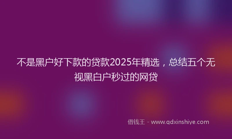 不是黑户好下款的贷款2025年精选，总结五个无视黑白户秒过的网贷