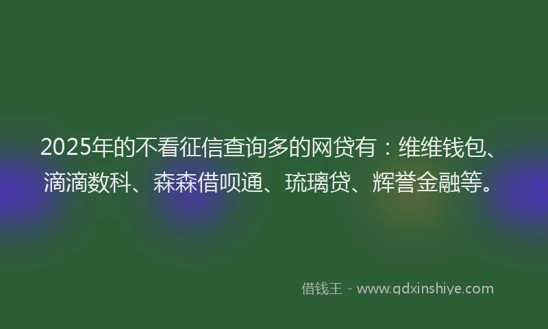 2025年的不看征信查询多的网贷有：维维钱包、滴滴数科、森森借呗通、琉璃贷、辉誉金融等。