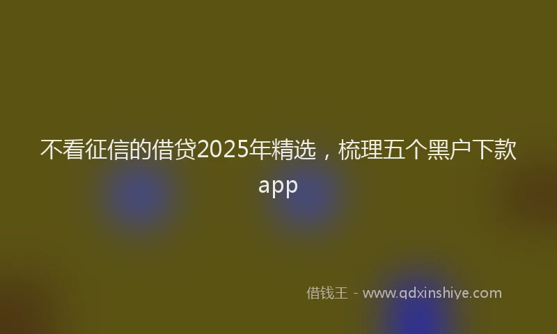 不看征信的借贷2025年精选，梳理五个黑户下款app