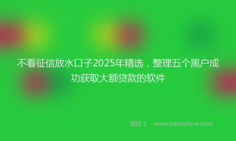 不看征信放水口子2025年精选，整理五个黑户成功获取大额贷款的软件
