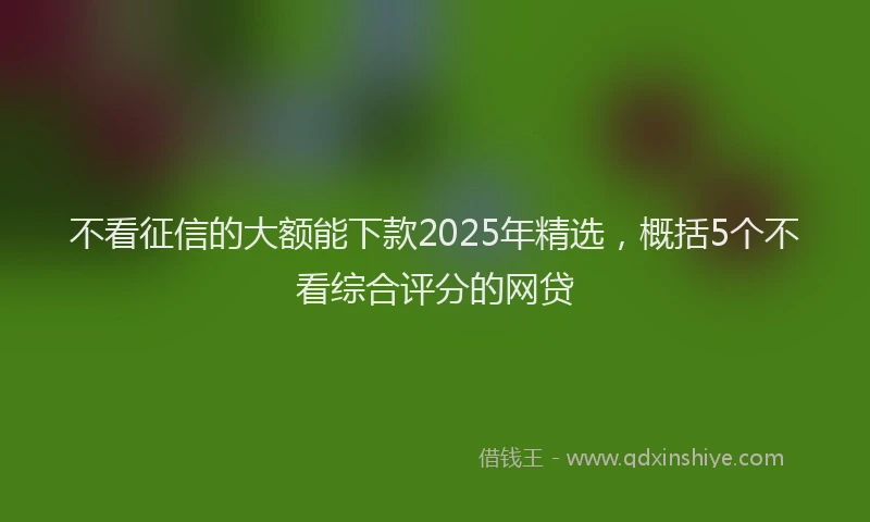 不看征信的大额能下款2025年精选，概括5个不看综合评分的网贷