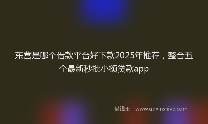 东营是哪个借款平台好下款2025年推荐，整合五个最新秒批小额贷款app