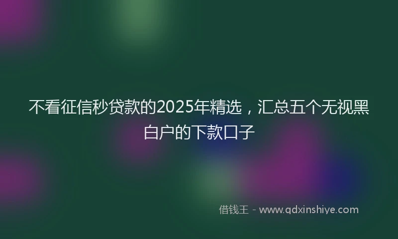 不看征信秒贷款的2025年精选，汇总五个无视黑白户的下款口子