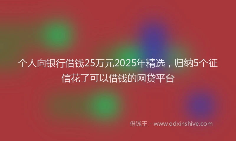 个人向银行借钱25万元2025年精选，归纳5个征信花了可以借钱的网贷平台