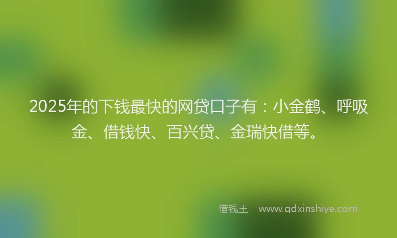 2025年的下钱最快的网贷口子有：小金鹤、呼吸金、借钱快、百兴贷、金瑞快借等。