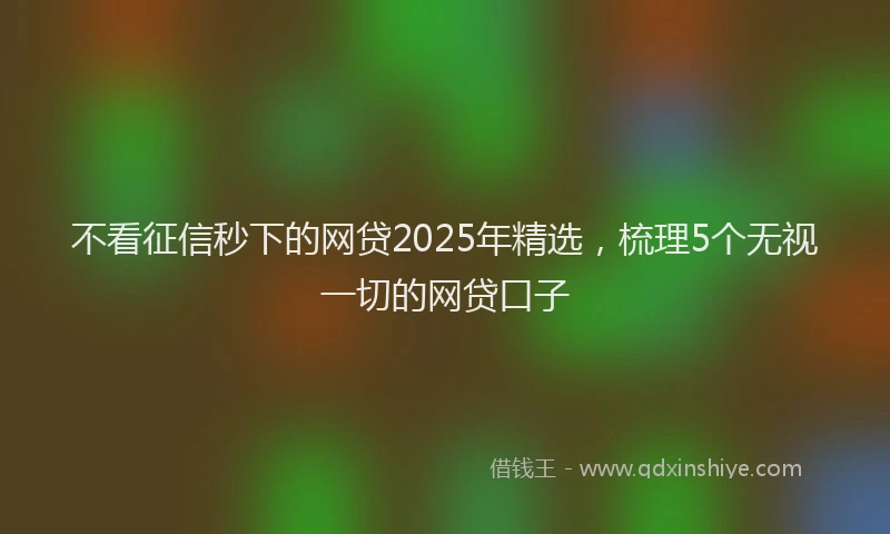不看征信秒下的网贷2025年精选，梳理5个无视一切的网贷口子