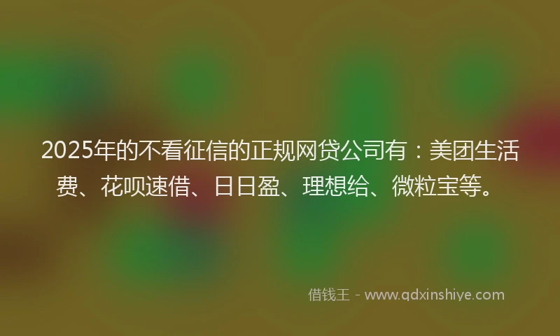2025年的不看征信的正规网贷公司有：美团生活费、花呗速借、日日盈、理想给、微粒宝等。