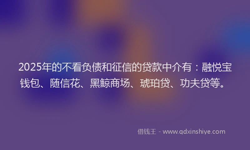 2025年的不看负债和征信的贷款中介有：融悦宝钱包、随信花、黑鲸商场、琥珀贷、功夫贷等。