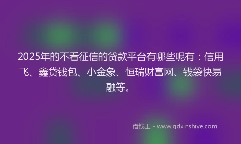 2025年的不看征信的贷款平台有哪些呢有：信用飞、鑫贷钱包、小金象、恒瑞财富网、钱袋快易融等。