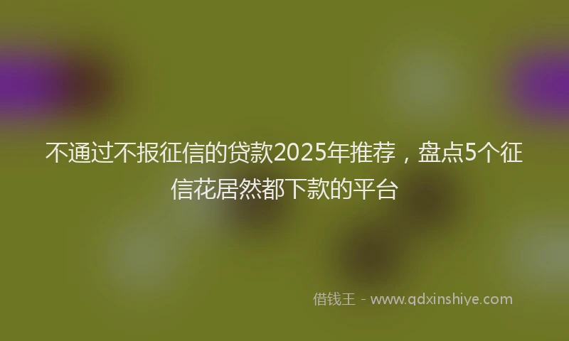 不通过不报征信的贷款2025年推荐，盘点5个征信花居然都下款的平台