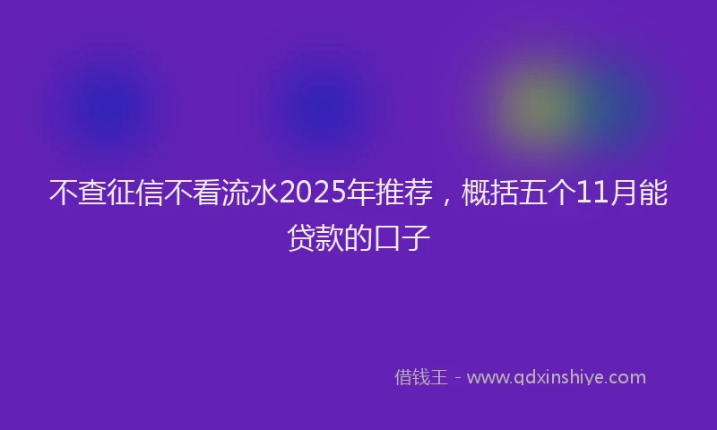 不查征信不看流水2025年推荐，概括五个11月能贷款的口子