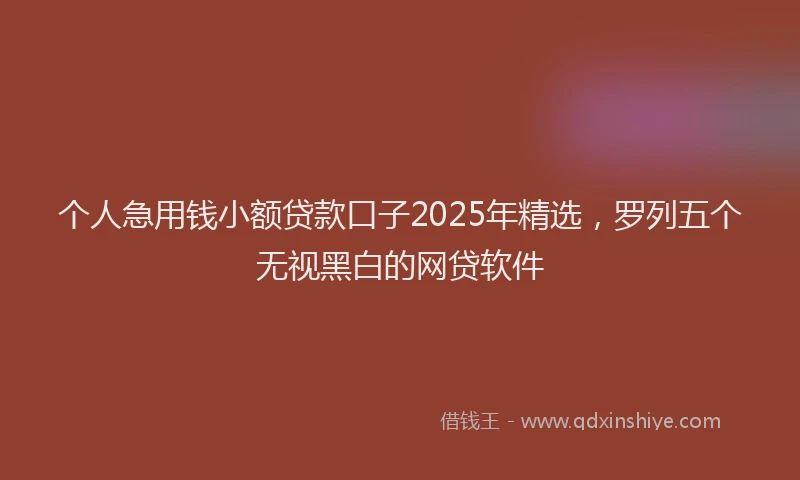 个人急用钱小额贷款口子2025年精选，罗列五个无视黑白的网贷软件