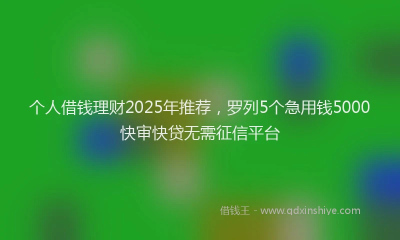 个人借钱理财2025年推荐，罗列5个急用钱5000快审快贷无需征信平台