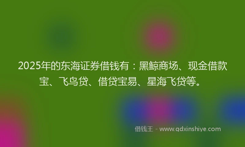 2025年的东海证券借钱有:黑鲸商场、现金借款宝、飞鸟贷、借贷宝易、星海飞贷等。