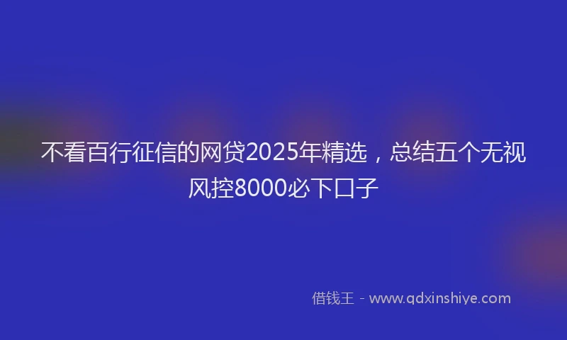 不看百行征信的网贷2025年精选，总结五个无视风控8000必下口子