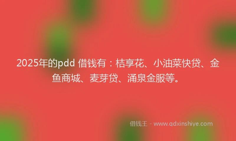 2025年的pdd 借钱有：桔享花、小油菜快贷、金鱼商城、麦芽贷、涌泉金服等。