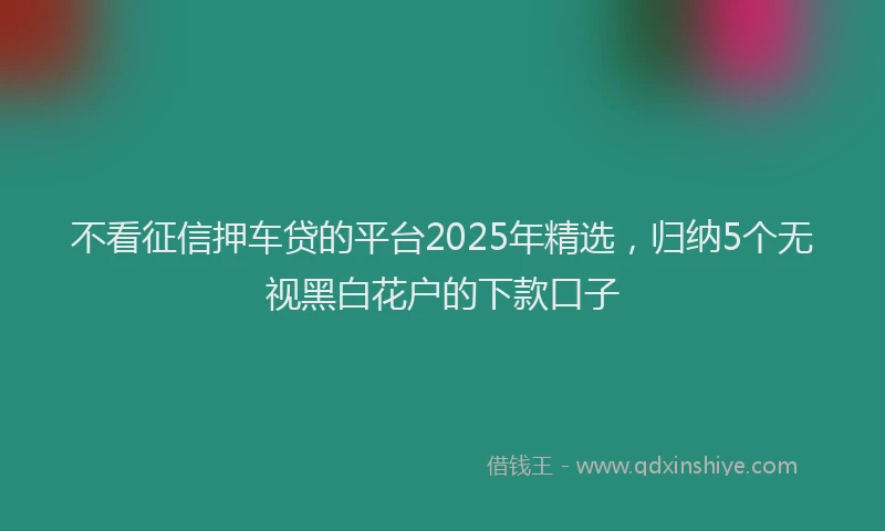 不看征信押车贷的平台2025年精选，归纳5个无视黑白花户的下款口子