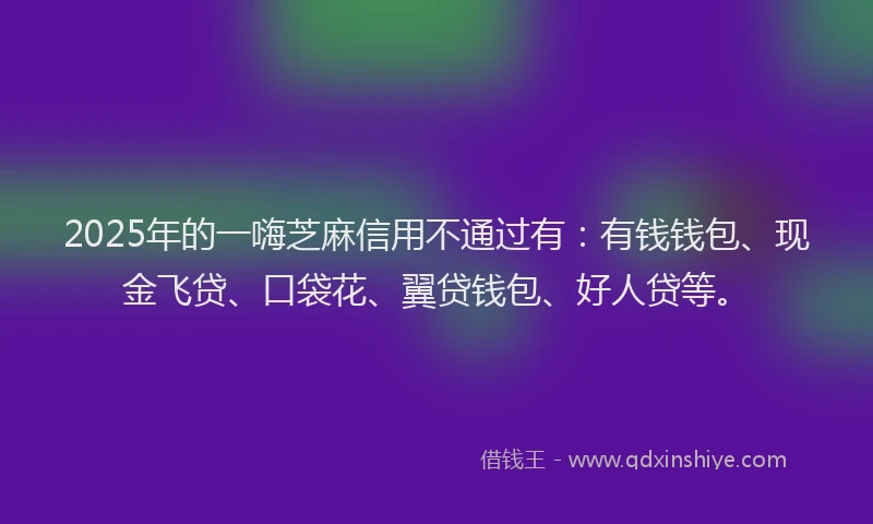 2025年的一嗨芝麻信用不通过有：有钱钱包、现金飞贷、口袋花、翼贷钱包、好人贷等。