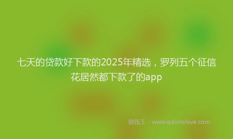 七天的贷款好下款的2025年精选，罗列五个征信花居然都下款了的app