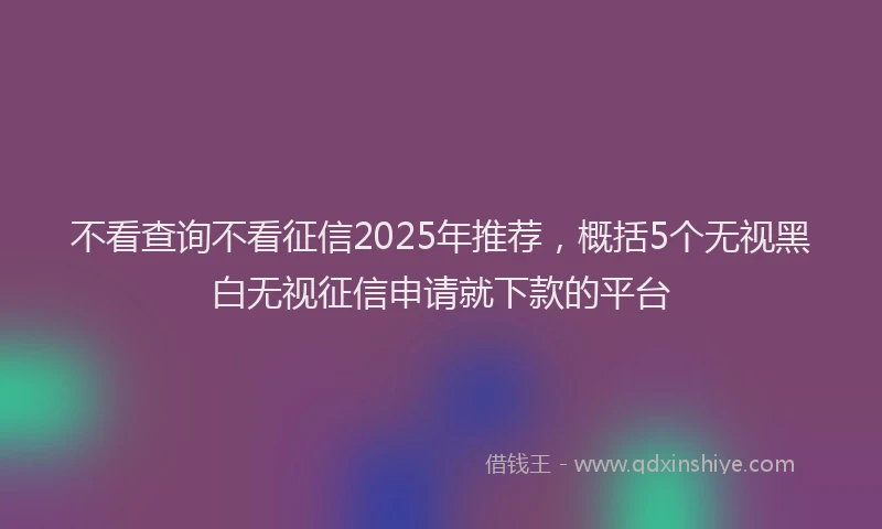 不看查询不看征信2025年推荐，概括5个无视黑白无视征信申请就下款的平台