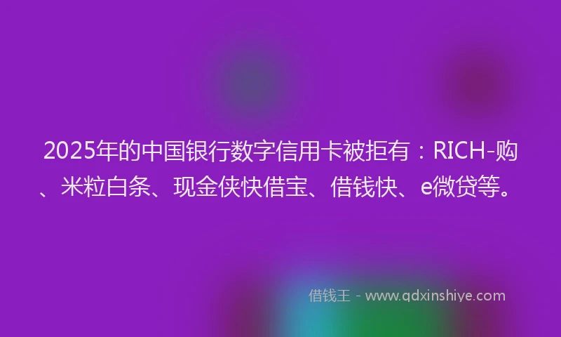 2025年的中国银行数字信用卡被拒有:RICH-购、米粒白条、现金侠快借宝、借钱快、e微贷等。