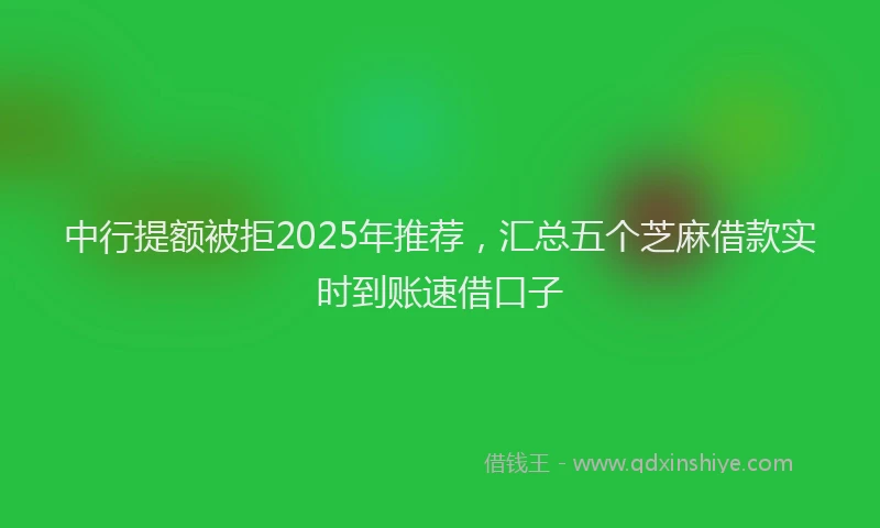 中行提额被拒2025年推荐，汇总五个芝麻借款实时到账速借口子