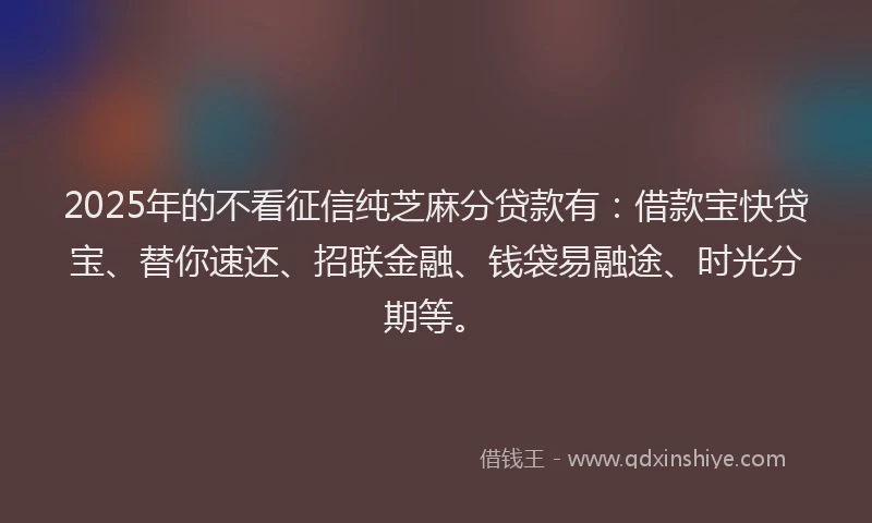 2025年的不看征信纯芝麻分贷款有：借款宝快贷宝、替你速还、招联金融、钱袋易融途、时光分期等。