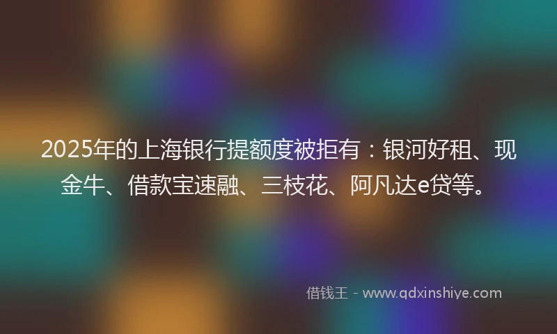 2025年的上海银行提额度被拒有：银河好租、现金牛、借款宝速融、三枝花、阿凡达e贷等。