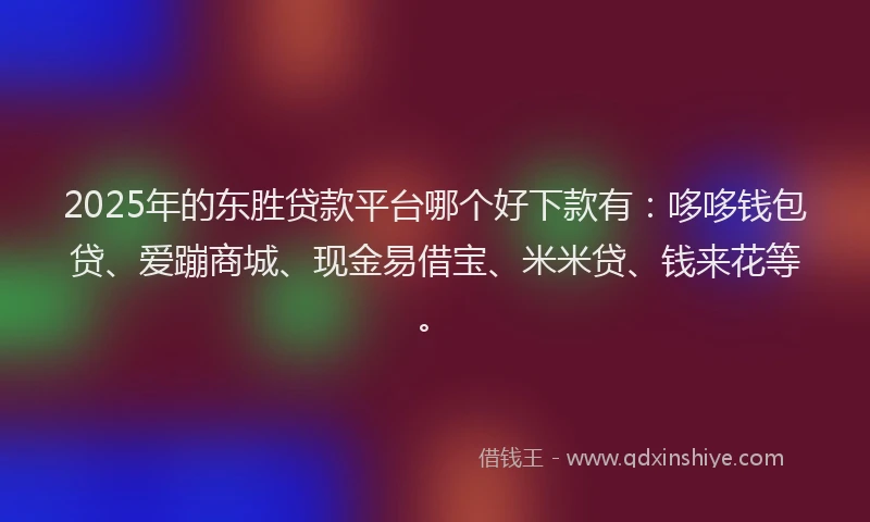 2025年的东胜贷款平台哪个好下款有：哆哆钱包贷、爱蹦商城、现金易借宝、米米贷、钱来花等。