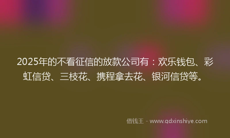 2025年的不看征信的放款公司有：欢乐钱包、彩虹信贷、三枝花、携程拿去花、银河信贷等。