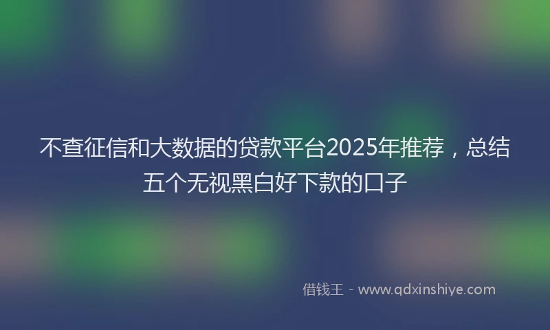 不查征信和大数据的贷款平台2025年推荐，总结五个无视黑白好下款的口子