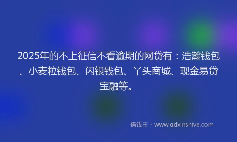 2025年的不上征信不看逾期的网贷有：浩瀚钱包、小麦粒钱包、闪银钱包、丫头商城、现金易贷宝融等。