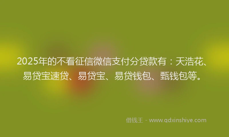 2025年的不看征信微信支付分贷款有：天浩花、易贷宝速贷、易贷宝、易贷钱包、甄钱包等。