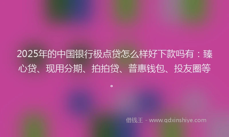 2025年的中国银行极点贷怎么样好下款吗有：臻心贷、现用分期、拍拍贷、普惠钱包、投友圈等。
