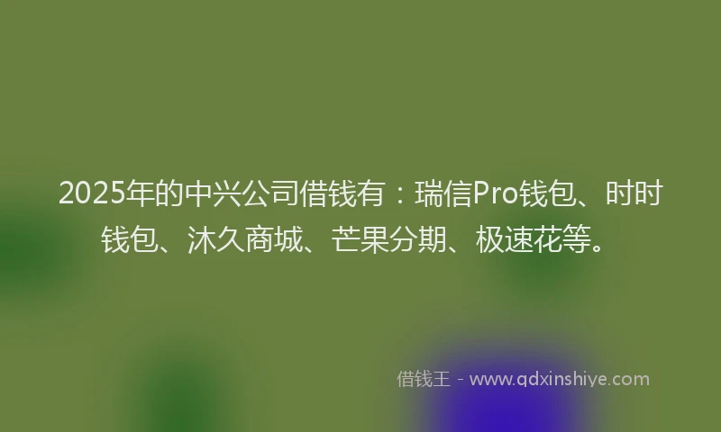 2025年的中兴公司借钱有：瑞信Pro钱包、时时钱包、沐久商城、芒果分期、极速花等。
