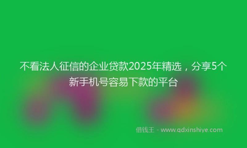 不看法人征信的企业贷款2025年精选，分享5个新手机号容易下款的平台
