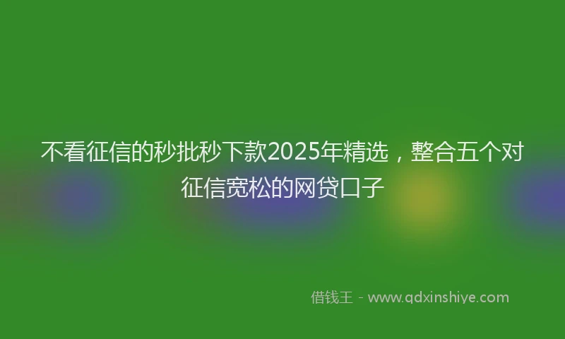 不看征信的秒批秒下款2025年精选，整合五个对征信宽松的网贷口子