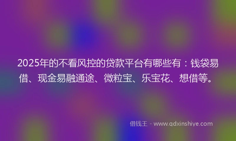 2025年的不看风控的贷款平台有哪些有：钱袋易借、现金易融通途、微粒宝、乐宝花、想借等。