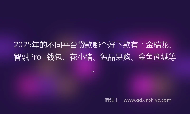 2025年的不同平台贷款哪个好下款有：金瑞龙、智融Pro+钱包、花小猪、独品易购、金鱼商城等。