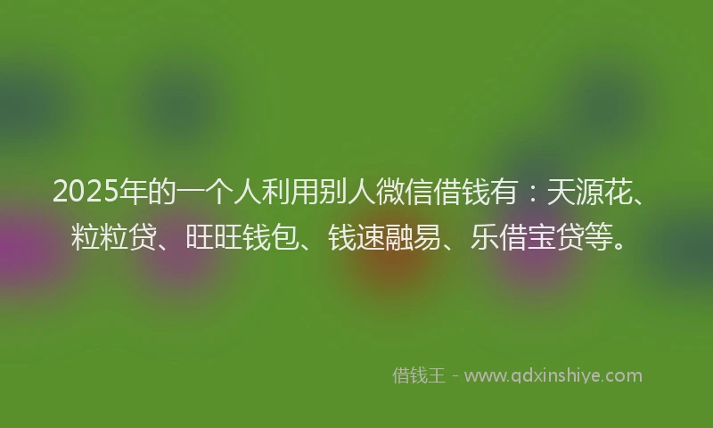 2025年的一个人利用别人微信借钱有：天源花、粒粒贷、旺旺钱包、钱速融易、乐借宝贷等。