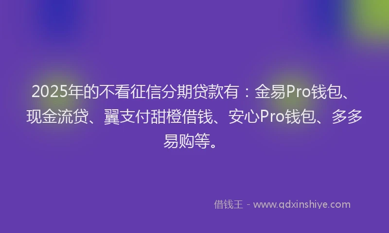 2025年的不看征信分期贷款有：金易Pro钱包、现金流贷、翼支付甜橙借钱、安心Pro钱包、多多易购等。