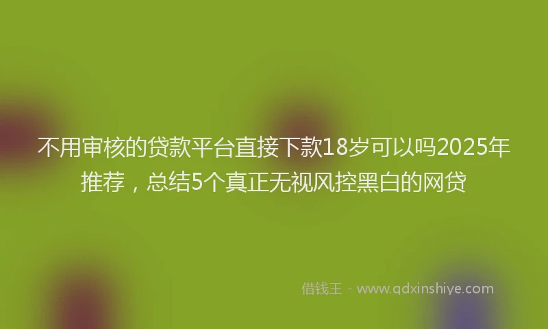 不用审核的贷款平台直接下款18岁可以吗2025年推荐，总结5个真正无视风控黑白的网贷