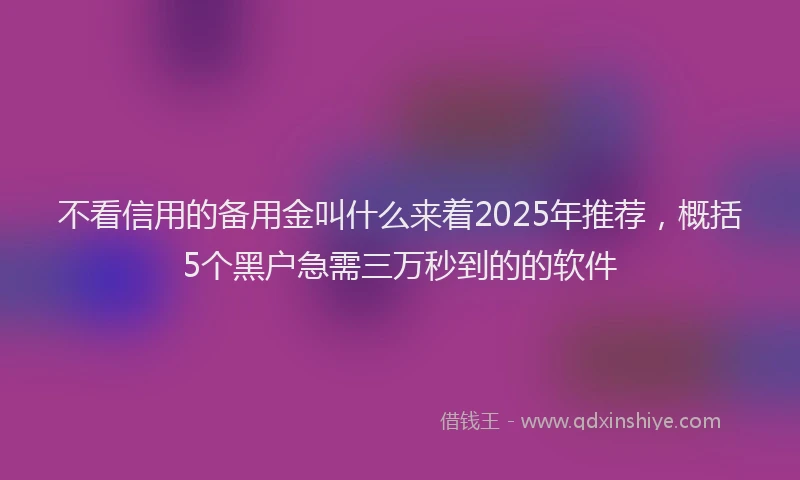 不看信用的备用金叫什么来着2025年推荐，概括5个黑户急需三万秒到的的软件