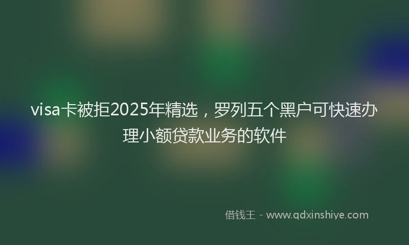 visa卡被拒2025年精选，罗列五个黑户可快速办理小额贷款业务的软件