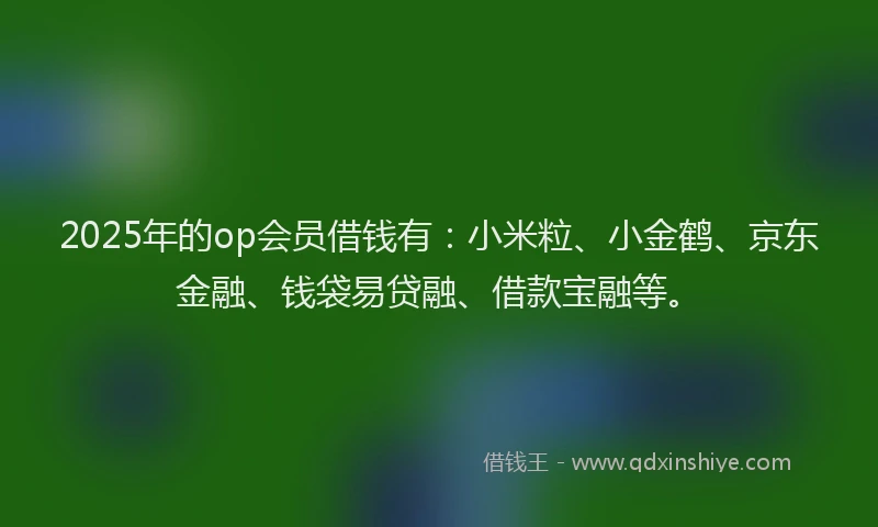 2025年的op会员借钱有：小米粒、小金鹤、京东金融、钱袋易贷融、借款宝融等。