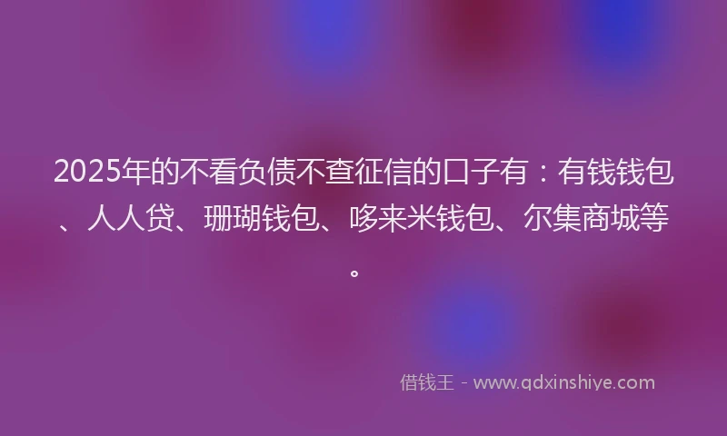 2025年的不看负债不查征信的口子有：有钱钱包、人人贷、珊瑚钱包、哆来米钱包、尔集商城等。