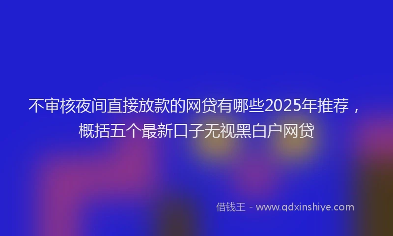 不审核夜间直接放款的网贷有哪些2025年推荐，概括五个最新口子无视黑白户网贷