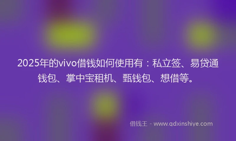 2025年的vivo借钱如何使用有：私立签、易贷通钱包、掌中宝租机、甄钱包、想借等。