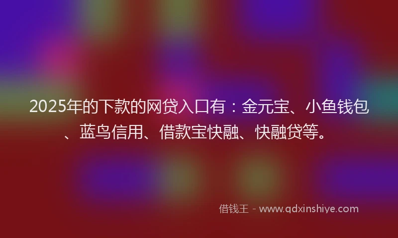 2025年的下款的网贷入口有：金元宝、小鱼钱包、蓝鸟信用、借款宝快融、快融贷等。
