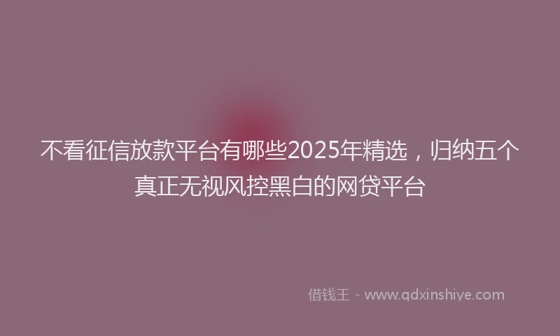 不看征信放款平台有哪些2025年精选，归纳五个真正无视风控黑白的网贷平台